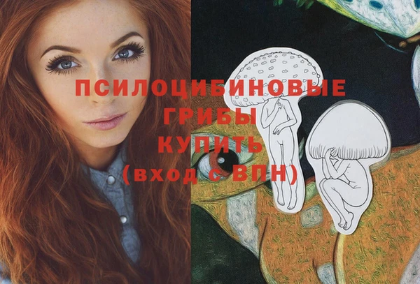первитин Армянск