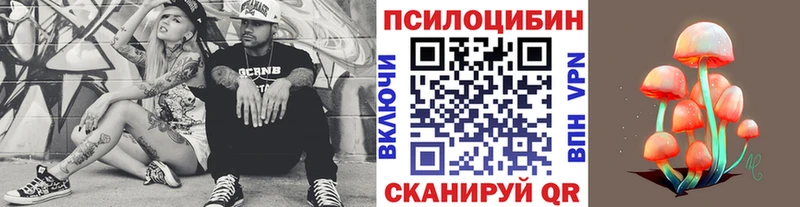 Псилоцибиновые грибы Psilocybe  Афипский 